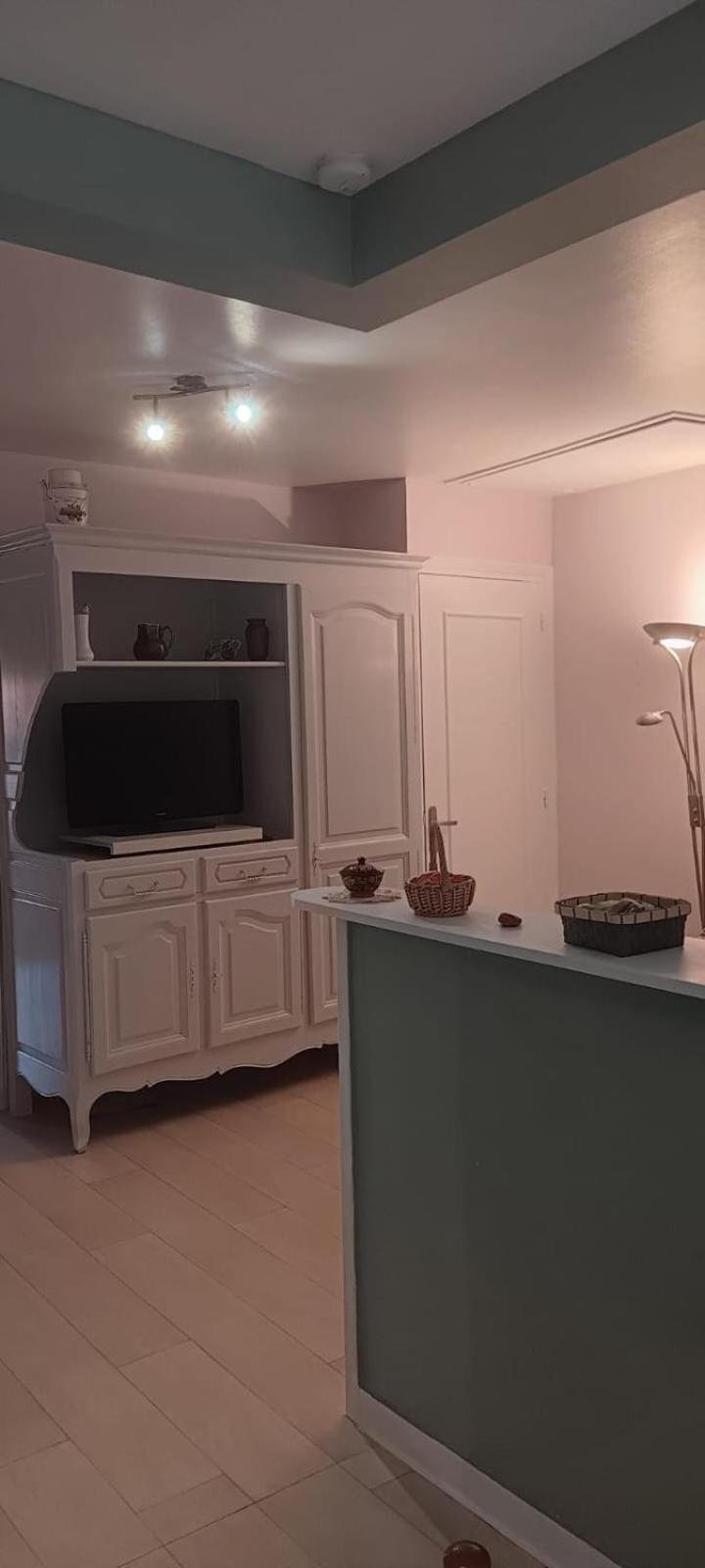Appartement 120 M² Duplex Coeur Historique Au Calme Le Puy-en-Velay Exterior foto